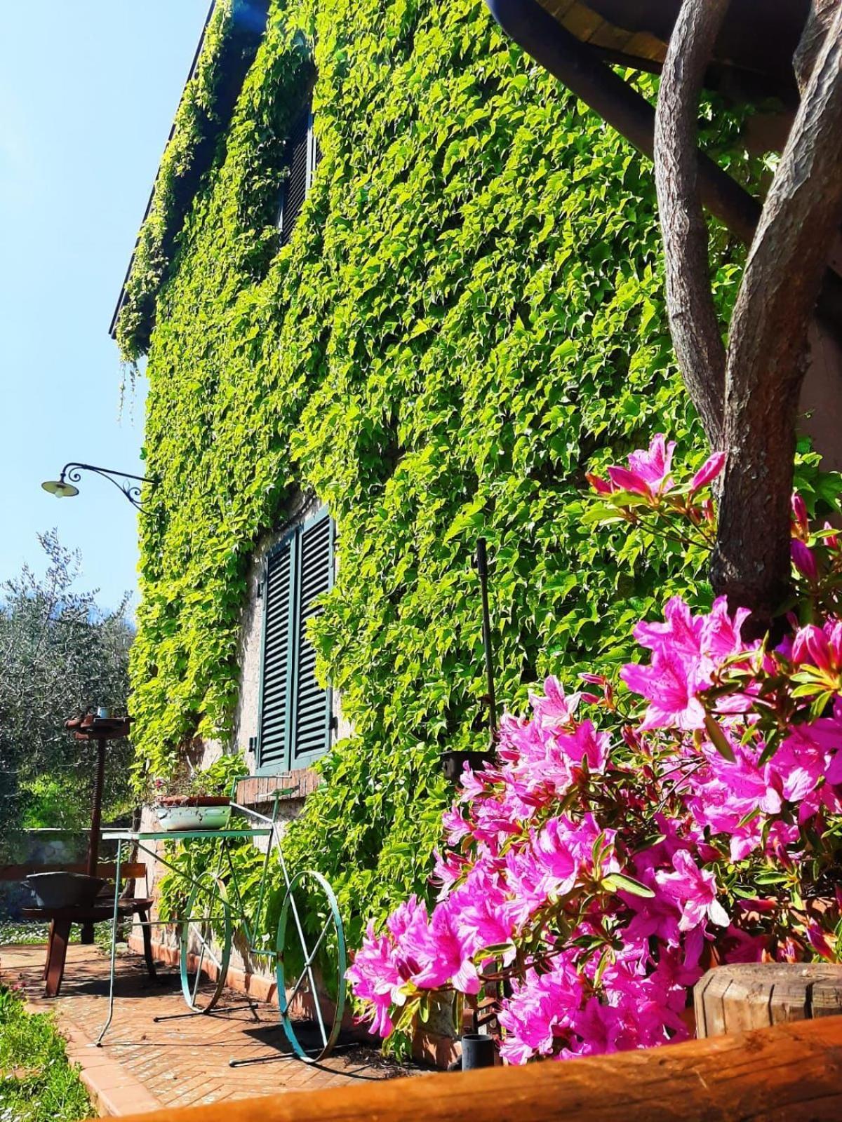 Agriturismo Ca Di Rossi Villa Mulazzo Eksteriør billede
