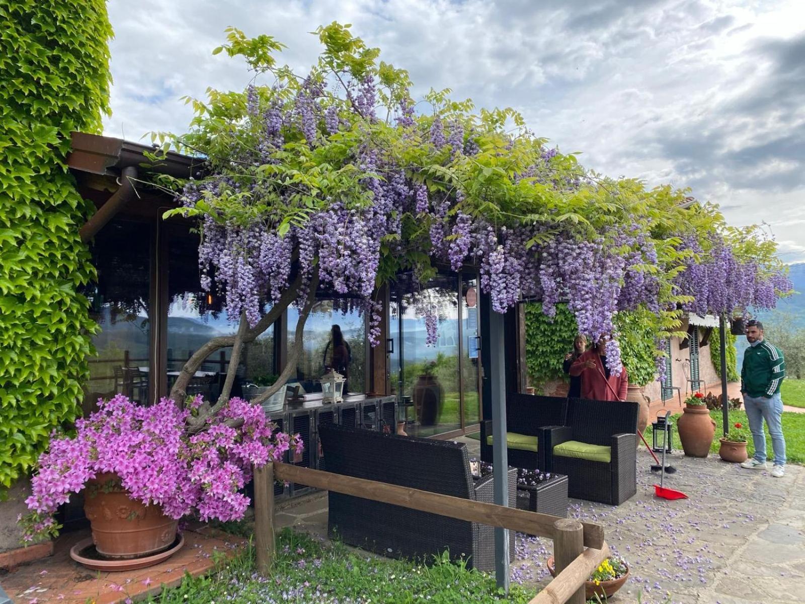 Agriturismo Ca Di Rossi Villa Mulazzo Eksteriør billede